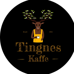 Tingnes Preto filter