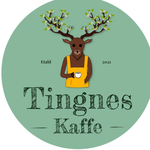 Tingnes Verde Filter